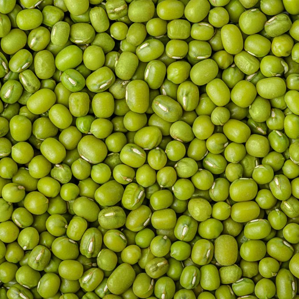 Green mung beans presented for export