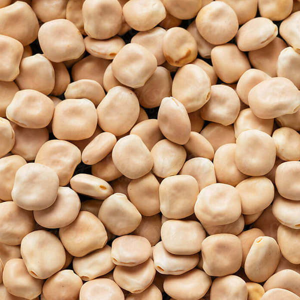 Lupin presented for export