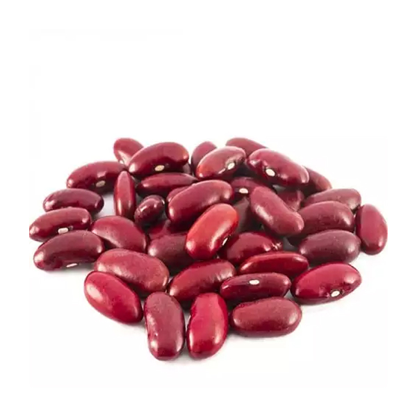 Red kidney beans close-up presented for export