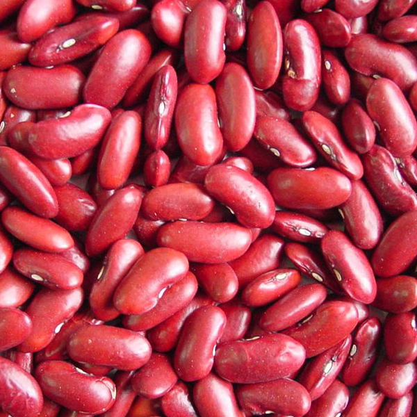 Red kidney beans presented for export