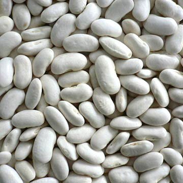 Pearl white beans presented for export