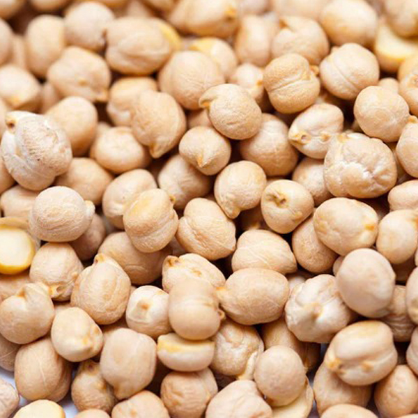 Kabuli chickpeas presented for export