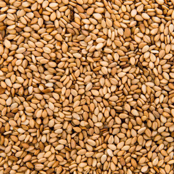 Humera sesame seeds close-up presented for export
