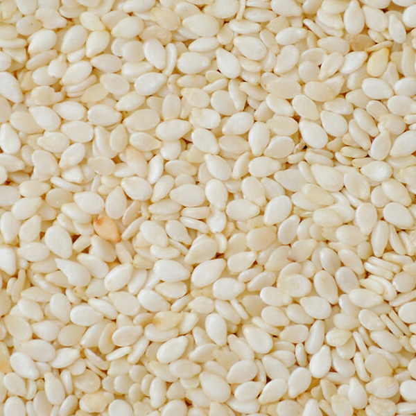Humera sesame seeds presented for export