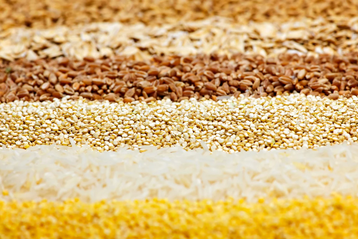 Oil seeds shown as an agricultural export product